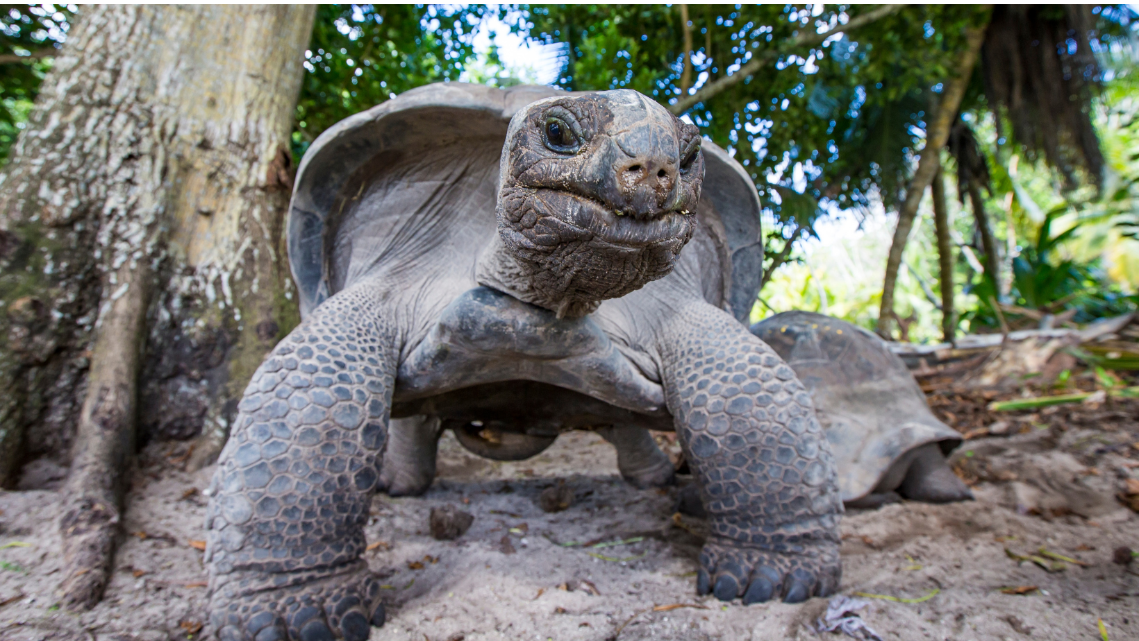 destination_main_img